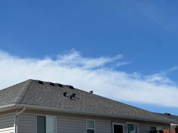 Best Storm Damage Roof Repair  in Norwood, PA